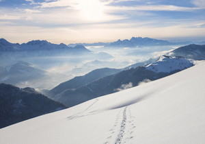 代理贵金属平台可靠吗，如何代理贵金属平台？